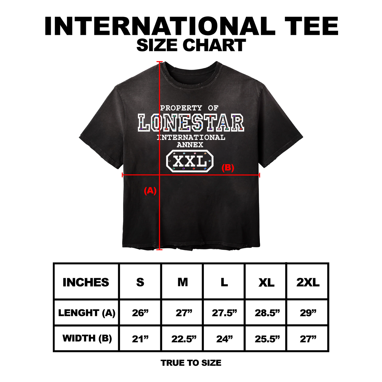 Lonestar International Tee