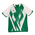 Lebenslang grün-Weiss Jersey