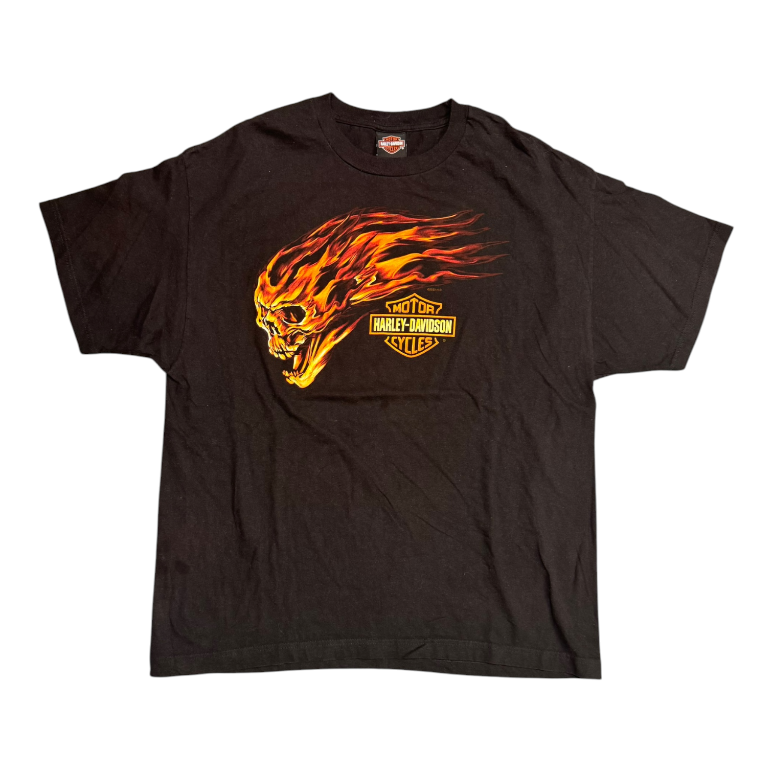 Harley Davidson Flame Skull Chicago Black Tee