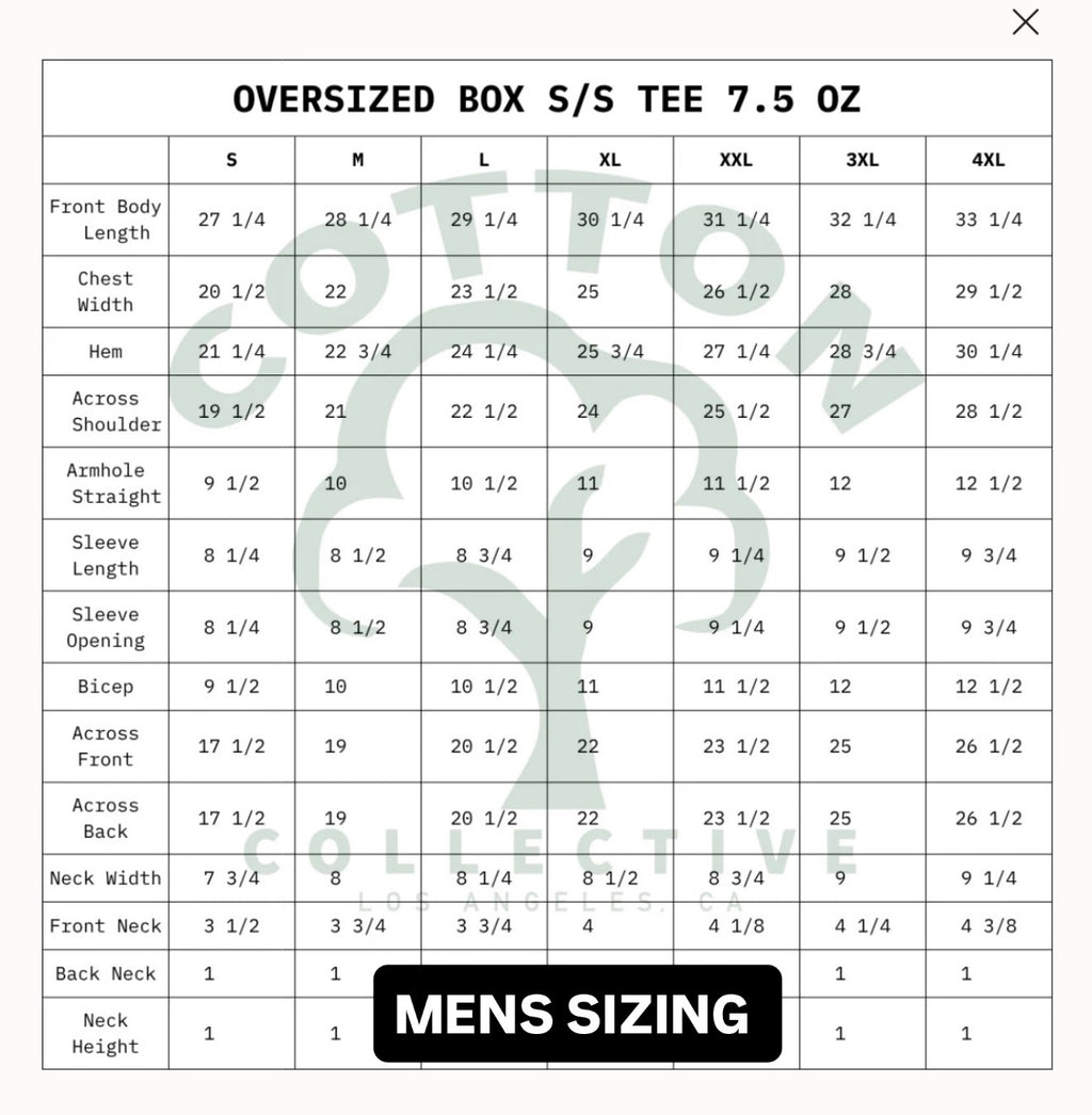 Houston Texas Star Camo Tee