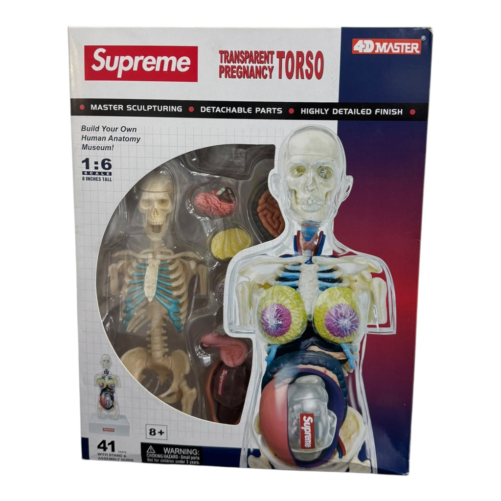 Supreme Pregnancy Torso