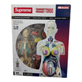 Supreme Pregnancy Torso