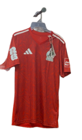 Coca Cola FIFA World Cup Special Edition Mexico Jersey (Red)
